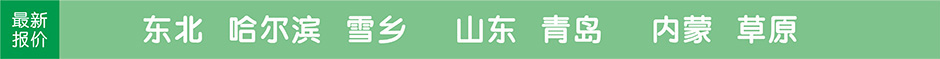 東北雪鄉(xiāng),哈爾濱,沈陽,山東,青島,內(nèi)蒙,旅游團(tuán)最新報(bào)價(jià)