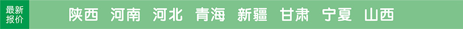 陜西,西安,河南,鄭州,青海,新疆,甘肅,寧夏,敦煌,西北,旅游團最新報價